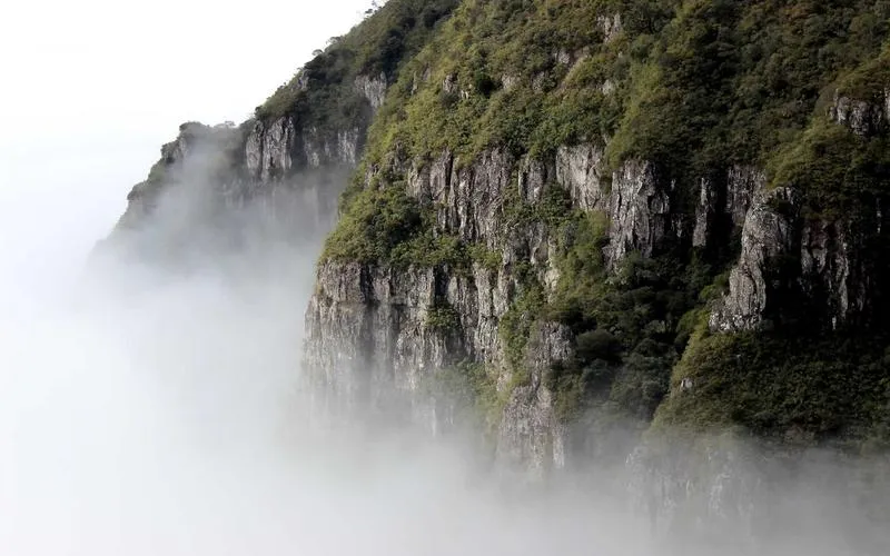 নারী ক্ষমতায়ন কর্মশালা সিরিজ