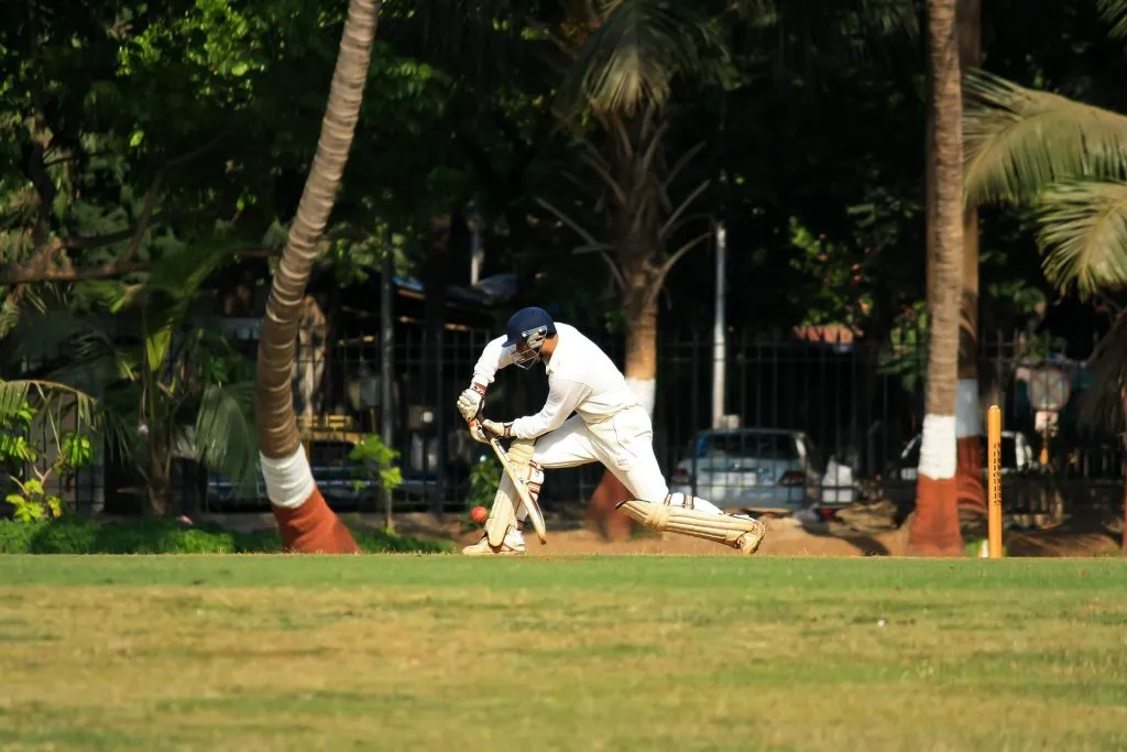 Pdpics cricket 166928 1920 - নাইন উইকেট
